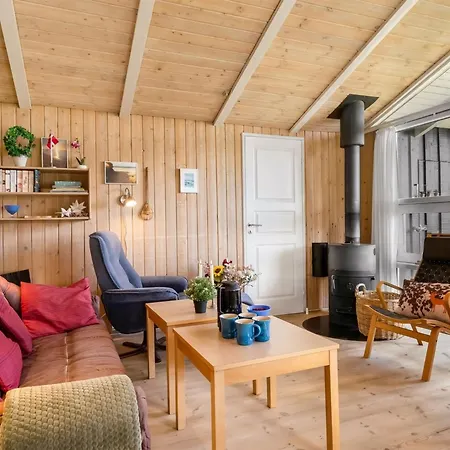 Anthonia - 1-6km From The Sea By Interhome * Blokhus